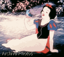 image12.gif (19075 bytes)