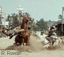 image13.gif (22205 bytes)